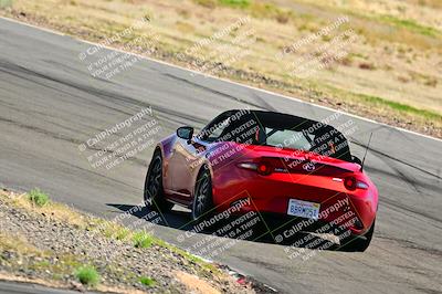 media/Mar-23-2025-West Coast Racing (Sun) [[de161b708f]]/Blue Group/Session 3 (Turns 3 and 5)/